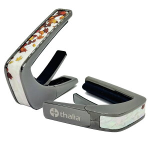 �^���A �J�| Thalia Capos Limited Series BC-AUTUMN PEARL / AUTUMN PEARL Black Chrome �M�^�[ 12�C���`�t���b�g�p�b�h�t��