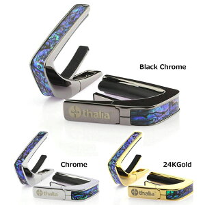 �^���A �J�| Thalia Capos Exotic Shell Series BLUE ABALONE �M�^�[ 12�C���`�t���b�g�p�b�h�t��
