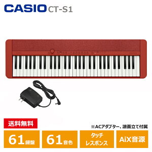 CASIO CT-S1RD L[{[h bh JVI 61 