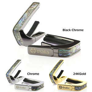 �^���A �J�| Thalia Capos Exotic Shell Series DRAGON ABALONE �M�^�[ 12�C���`�t���b�g�p�b�h�t��