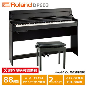 Roland DP603-CBS [h RpNg dqsAm ؖڒ wbhtH ֎q t yzݒu(E[is)z