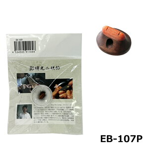 ÌՖV EB-107P   AؘVߕ