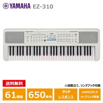 楽天市場】ヤマハ 電子キーボード PORTATONE(ポータトーン) EZ－J220の通販