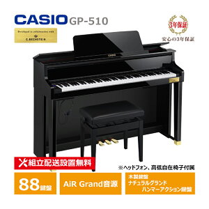 CASIO GP-510BP JVI nCNX dqsAm ؐ CELVIANO 3Nۏ wbhtH ֎q t yzݒu(E[is)z