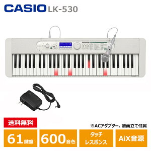 CASIO (JVI) LK-530 Casiotone irQ[V JVI L[{[h 61 lC\O