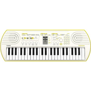 CASIO (JVI) SA-80 ~jՃL[{[h Casiotone 44~j / SA76 pf