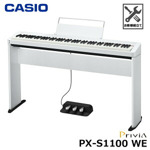 CASIO PX-S1100WEypX^hA3{y_ SP-34ZbgzJVI dqsAm Privia(vBA) zCg wy_Eʗĕtx
