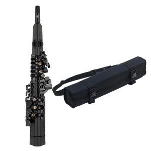 YAMAHA fW^TbNX YDS-120 + \tgP[X DSB-120 Zbg