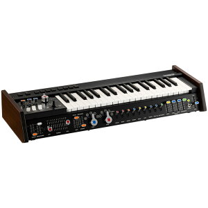 KORG AiO VZTCU[ miniKORG 700Sm p\tgP[Xt 37
