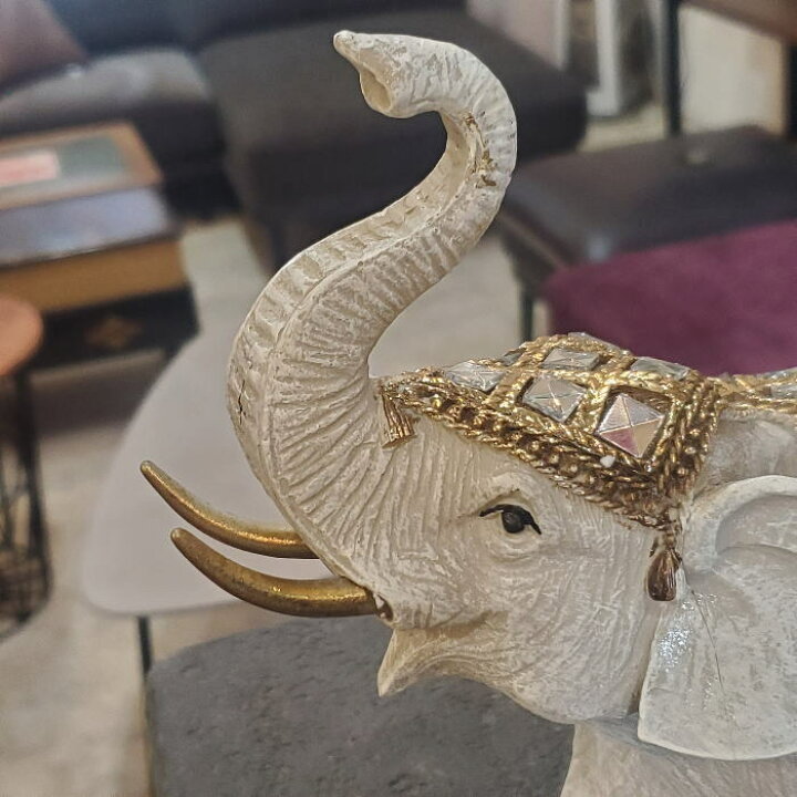 楽天市場】アウトレット 未使用 送料無料 ゾウ 象 ぞう elephant 鼻 