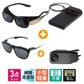 QDレーザ 網膜投影ヘッドマウントディスプレイ＋HDMIアクセサリーカメラセット QD Laser RETISSA Display II ロービジョン