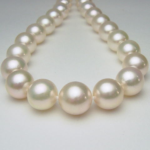あこや真珠 ネックレスの人気商品・通販・価格比較 - 価格.com