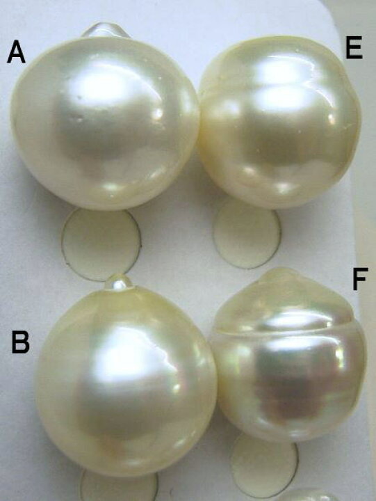 楽天市場】K18/K14WG南洋白蝶真珠ペンダントトップ【16mm-17mm】【訳 