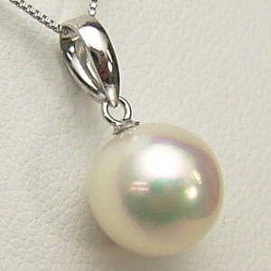 K18/K14WGAR^y_ggbvy8.5mm-9mmzyzzyԎ싉zyzpwm-5744 y[֑z({^ y_g AR{^ y_g ^ y_g {^ 