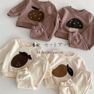 yzq xr[ tH ZbgAbv LbY ㉺Zbg 2_Zbg ̎q j̎q Zbg 񂲕  LmR }S[ ^ ʉ ʊw t H ؍ qǂ 