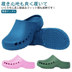 yzy T_ NbV  wl i[XT_  Ō ×p ɂ T_ Y EVAT_ fB[X  Г ɂ m hN^[  