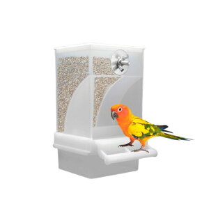 yz a o[hH o[htB[_[ @\ pt[htB[_[  pbg{E ̉a  ^ pa ݂艺 ڂh ʖh юUȂ 