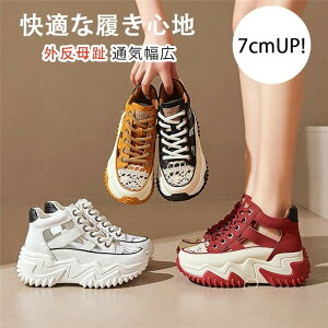 yzyVzX|[cT_  fB[X Xj[J[ bV T_ Ȃ  O T_ O Xj[J[ ɂ ~