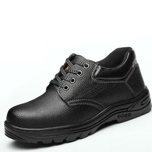 U[ ƌC v ƌC SC SC fB[X jp ȂC ׂɂ Y  ZteB[V[Y ƌC ܐK[h