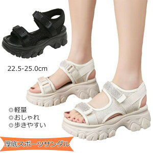 yz T_ T_ fB[X T_ bVT_ r[`T_vXgbv fB[X V[Y Xj[J[ ʋC r EH[LOV[Y w