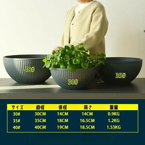 yyVX[p[SALE蔼zzyz@ XC _J   y Aؔ ^ 30 35 40cm vX`bN  ۔ 甫  y ɂ  O  A