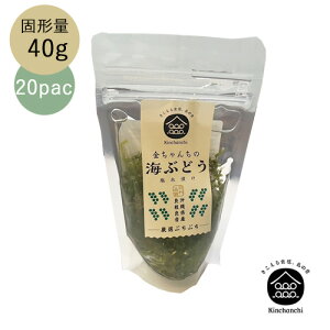 金ちゃんちの海ぶどう (塩水入り) 40g | 化粧箱なし | たれ付き | お土産 | プチプチ | おつまみ | 賞味期限が長い | お取り寄せグルメ |