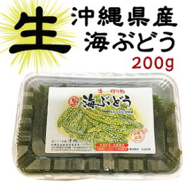生海ぶどう200g　お取り寄せ グルメ おつまみ 沖縄 お土産 酒の肴 専用タレ付き 沖縄料理 お取り寄せ おつまみ 低カロリー うみぶどう 海ブドウ 晩酌 海藻 低カロリー