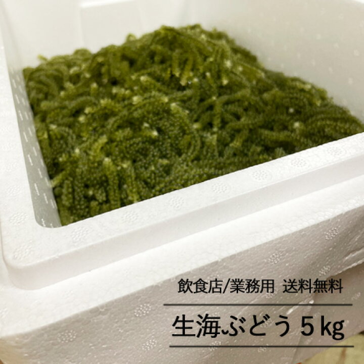 楽天市場】【飲食店・業務用専用】生海ぶどう5kg（タレ無し）送料無料 