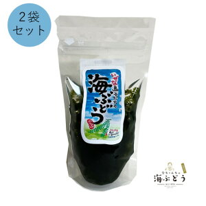 YCԂǂ60g×2()@ϔȂ t |  | ܂ |  | yY
