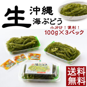 生 海ぶどうの人気商品 通販 価格比較 価格 Com