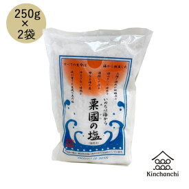 粟国の塩　250g×2袋　【送料無料】塩 沖縄