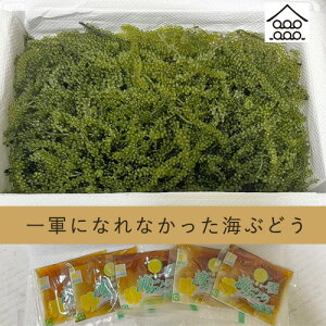 RɂȂȂCԂǂ500g (p^t)@CuhE ܂ J[@ O |Cg 