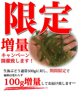 海ぶどう お土産の人気商品 通販 価格比較 価格 Com 海ぶどう お土産の人気商品 通販 価格比較 価格 Com