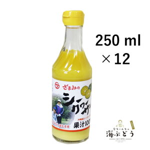 YV[N[T[ʏ`100%i250mlj×12{Zbg