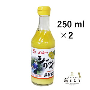 YV[N[T[ʏ`100%i250mlj×2{Zbg
