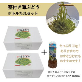 茎付き海ぶどう500g×2箱（たれボトル)セット　おみやげ お裾分け 手土産 お取り寄せ 沖縄 おつまみ 晩酌のお供 高品質 鮮度 プチプチ 海ぶどう 1kg 海ブドウ