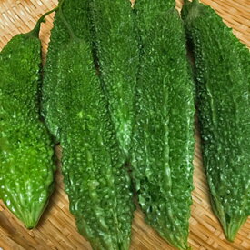 【沖縄産】ゴーヤー 約2kg （サイズ混載6〜10本）