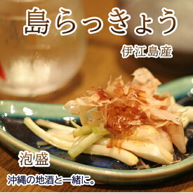 島らっきょう塩漬け【500g】伊江島産　 送料無料 お取り寄せ グルメ 島らっきょう 島らっきょ おつまみ 沖縄料理 沖縄のおつまみ