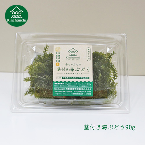 【沖縄特産品】極上プチプチ食感！茎つき1kg海ぶどう