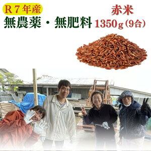 yߘa7NYVāz_ 엿 R͔| ԕ 1350g Y G G w엿yzY }փRpNg
