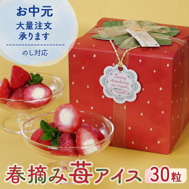 お中元 御中元 ギフト 熨斗 対応 早割 プレゼント アイス アイスクリーム 春摘み苺アイス 30個 誕生日 いちご 練乳 いちごアイス お取り寄せ お菓子 フルーツ 内祝い 個包装 おしゃれ スイーツ 大量注文 お祝い ラッピング 子供 アイスギフト
