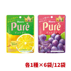 カンロ ピュレグミ レモン グレープ 56g×6袋/12袋 まとめ買い 大容量 ストック シェア 果汁グミ すっぱいグミ ハート型 人気グミ お菓子 おやつ 常温保存 間食 休憩時間 学校 職場 家庭用 子供のおやつ 仕送り 人気
