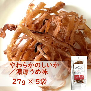 y Zߖ z t 3 | y[YCJgp | IB~d kC |  CJp | NxQ nEldグ | kCMtg  iޖkC