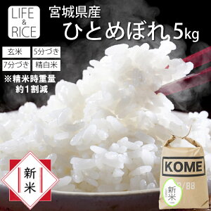 V ߘa7NY { {錧Y ЂƂ߂ڂ 5kg  5 7   (Ďdʖ1) y qg{  ͂  Yn   ߁zy z LIF