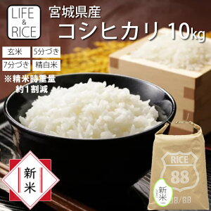 V ߘa7NY {錧Y RVqJ 10kg  5 7  (Ďdʖ1)y Ђ  ͂  Yn   ߁zy  CX^zLIFER