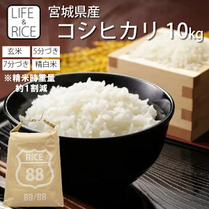 �ߘa7�N�Y �{�錧�Y �R�V�q�J�� 10kg ���� 5�� 7�� ������ (���Ď��d�ʖ�1����)�y���� �����Ђ��� ���� ���͂� ���� �Y�n���� �������� ������ ���߁z�y������� ���� �C���X�^�zLIFE��RICE