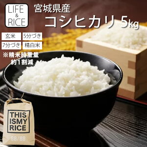 �ߘa7�N�Y �{�錧�Y �R�V�q�J�� 5kg ���� 5�� 7�� ������(���Ď��d�ʖ�1����) �y���� �����Ђ��� ���� ���͂� ���� �Y�n���� �������� ������ ���߁z�y������� �����z LIFE��RICE