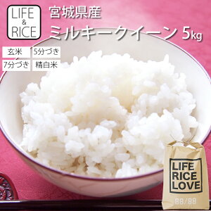 ߘa6NY {錧Y ~L[NC[ 5kg  5 7  (Ďdʖ1)y  ͂  Yn uh ݂邫[[    V  