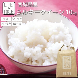 ߘa6NY {錧Y ~L[NC[ 10kg  5 7  (Ďdʖ1)y  ͂  Yn uh    V   CX^zyLIFE