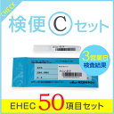 EHEC50項目セット・赤痢・サルモネラ・チフス・パラチフスA・腸管出血性大腸菌50種(O157を含む)・早い結果・一人からでも検査可能・保健所に届ける際も有効